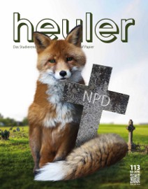 heuler nr. 113