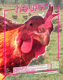 heuler nr. 133